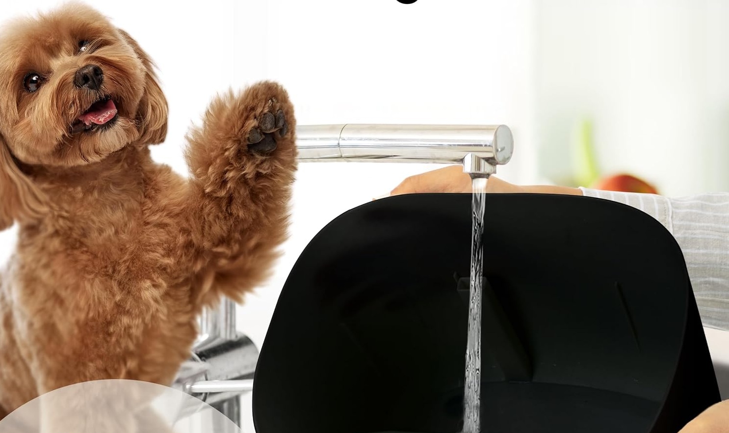 Pretty Paw Trinkbrunnen für Hunde mit 7L Wassertank