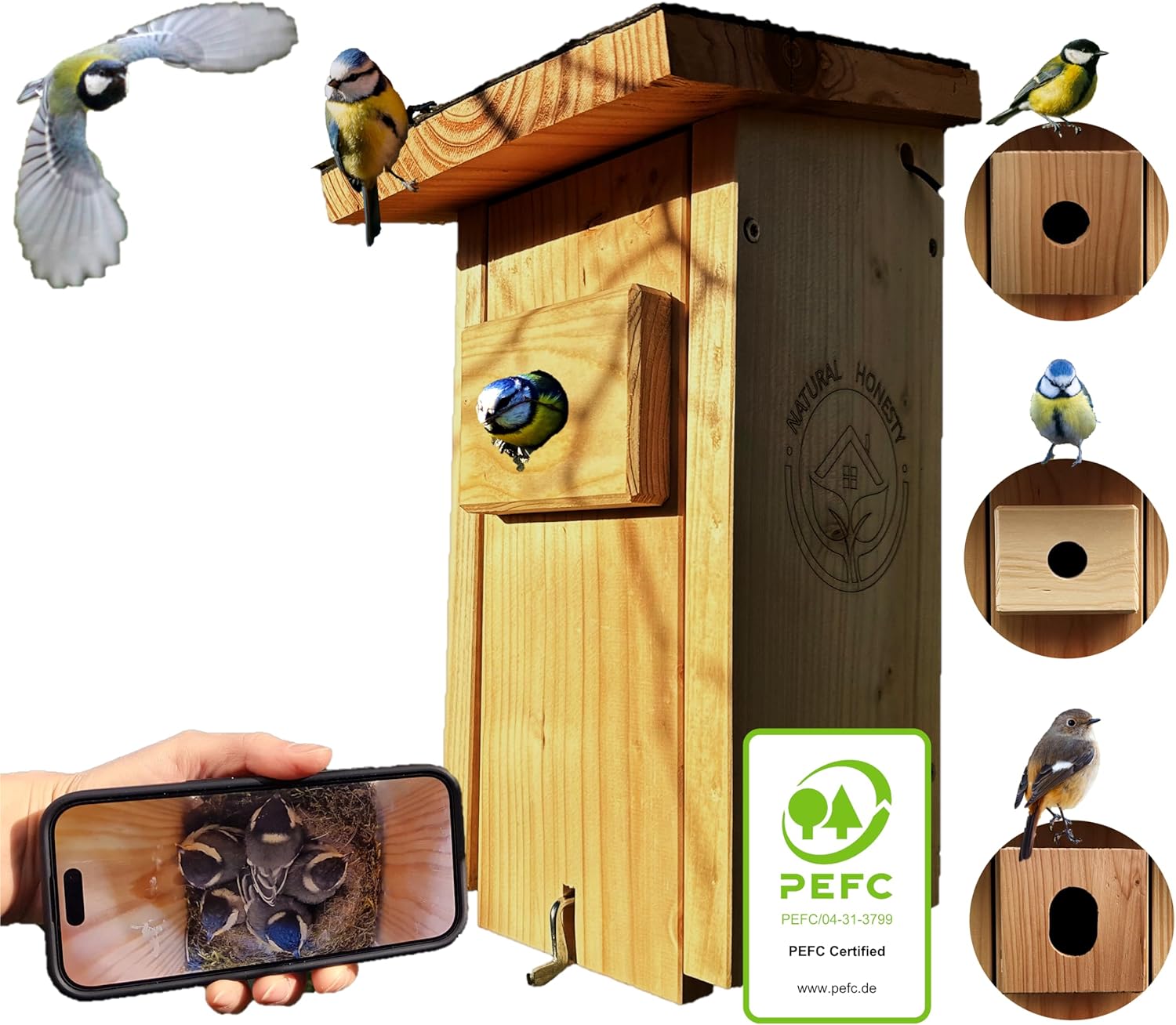 Nistkasten mit Kamera – Natur hautnah erleben & keinen Brutmoment verpassen