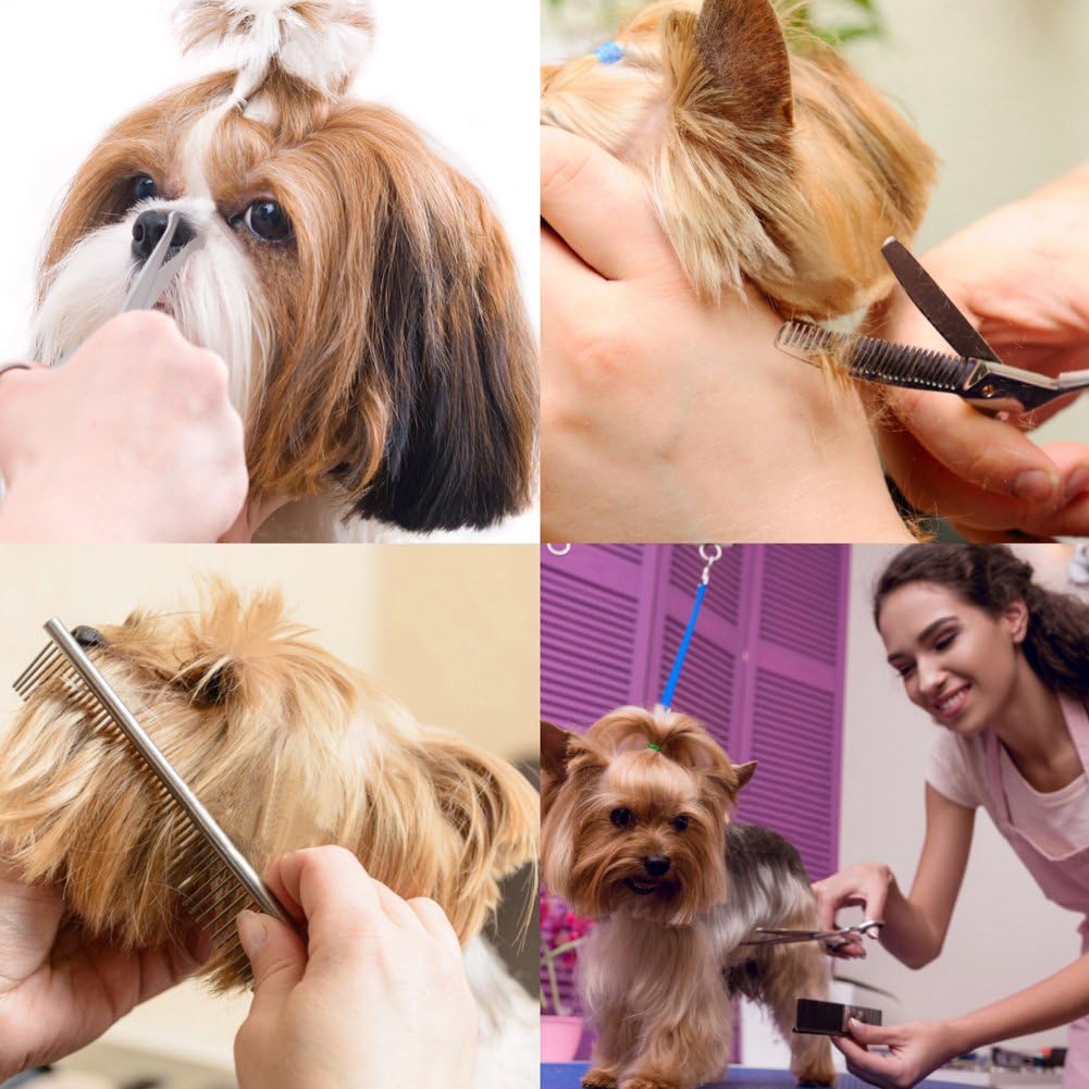 5 in 1 Hundescheren Set