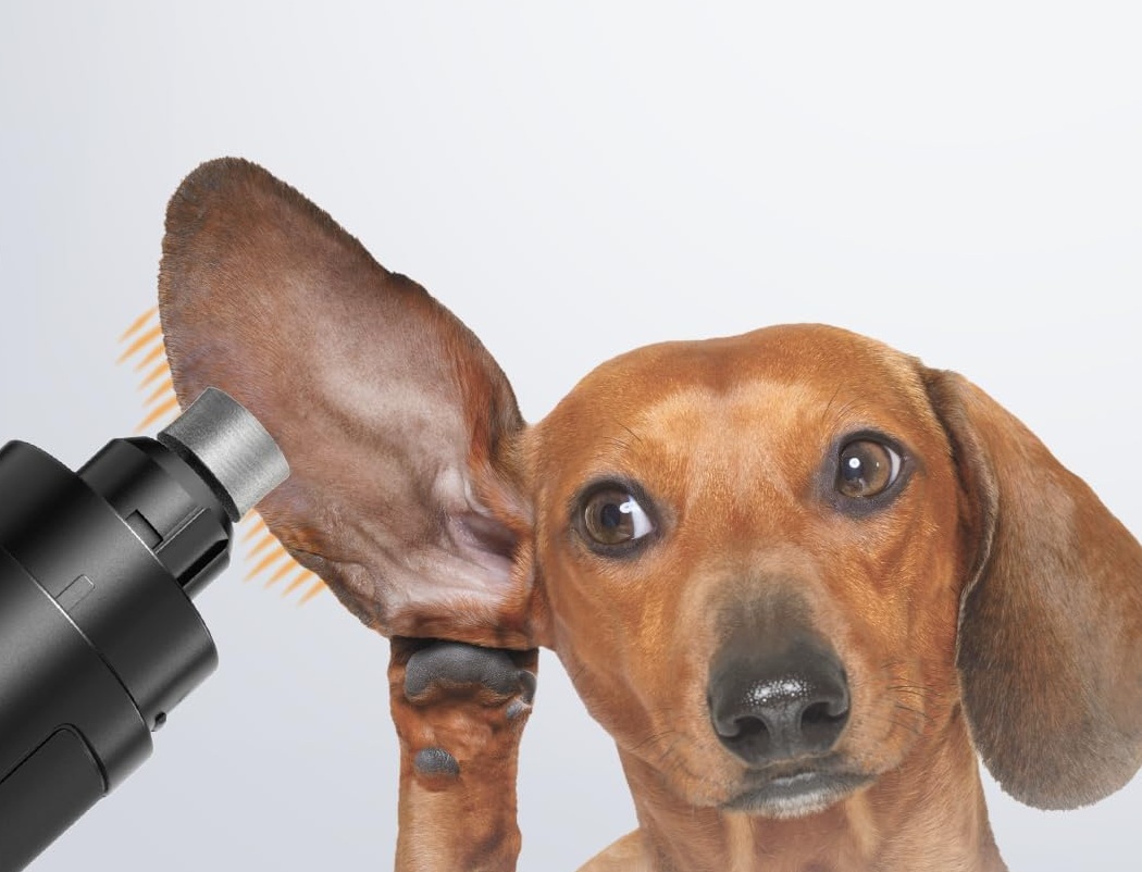 IREDOON Profi Krallenschleifer für Hunde 3-Gang Mit 4 LED-Leuchten