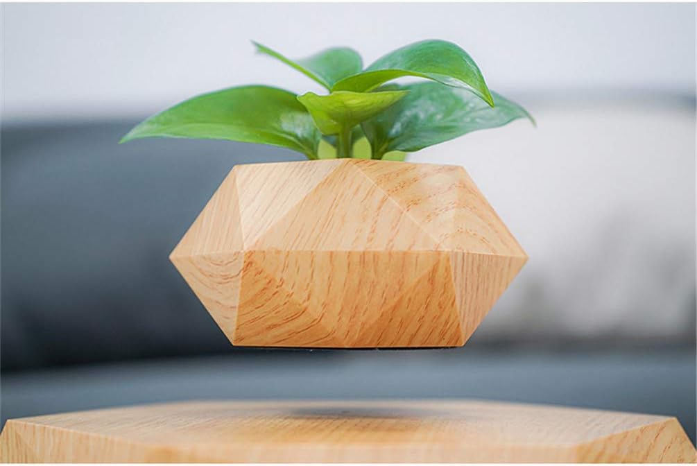 Levitating Plant Pot Floating Air Bonsai Pot Suspension Flower Pot Planter